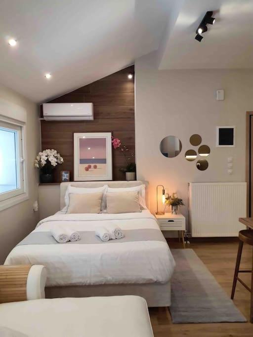 Cozy Studio Στο Κεντρο 拉里萨 外观 照片