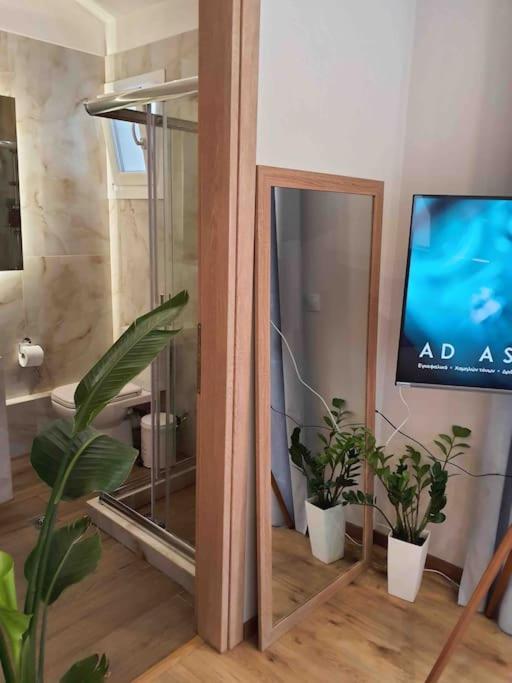 Cozy Studio Στο Κεντρο 拉里萨 外观 照片