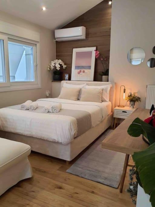 Cozy Studio Στο Κεντρο 拉里萨 外观 照片