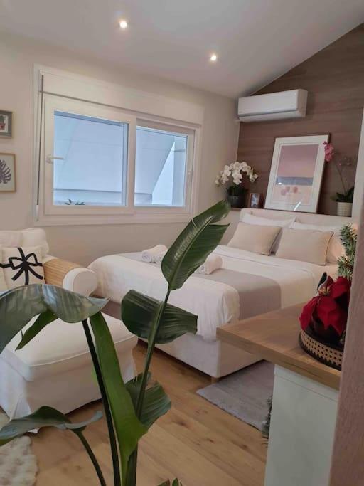 Cozy Studio Στο Κεντρο 拉里萨 外观 照片