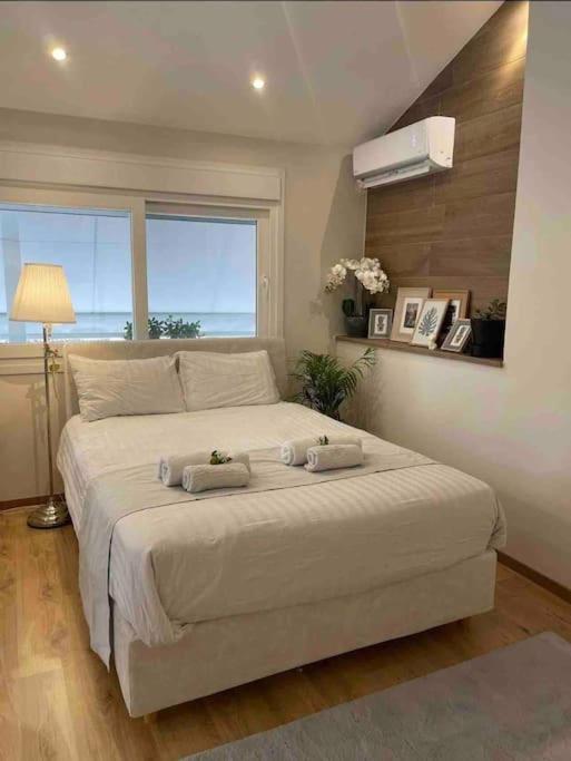 Cozy Studio Στο Κεντρο 拉里萨 外观 照片
